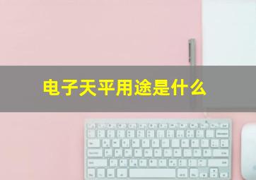 电子天平用途是什么