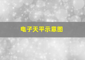 电子天平示意图