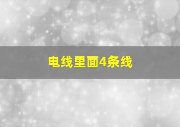 电线里面4条线