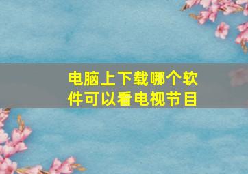 电脑上下载哪个软件可以看电视节目