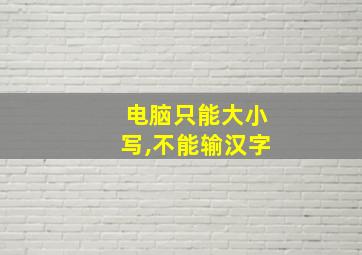 电脑只能大小写,不能输汉字