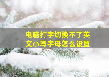 电脑打字切换不了英文小写字母怎么设置