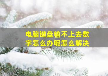 电脑键盘输不上去数字怎么办呢怎么解决