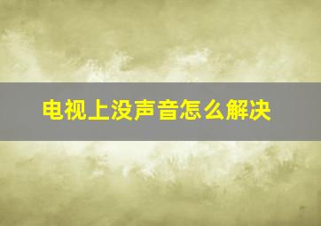 电视上没声音怎么解决