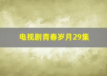 电视剧青春岁月29集