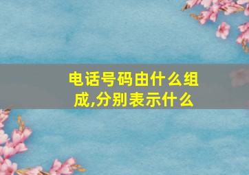 电话号码由什么组成,分别表示什么