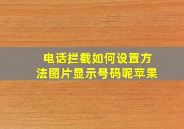 电话拦截如何设置方法图片显示号码呢苹果