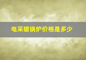 电采暖锅炉价格是多少