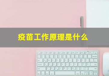 疫苗工作原理是什么