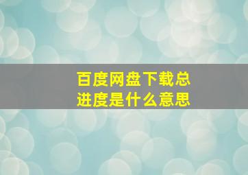 百度网盘下载总进度是什么意思