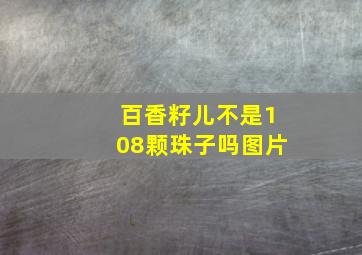 百香籽儿不是108颗珠子吗图片