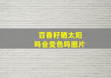 百香籽晒太阳吗会变色吗图片