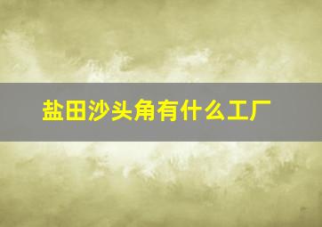 盐田沙头角有什么工厂