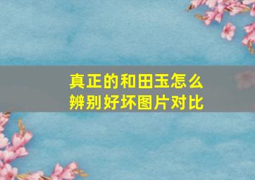 真正的和田玉怎么辨别好坏图片对比