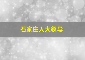 石家庄人大领导