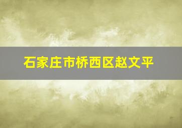 石家庄市桥西区赵文平