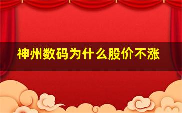 神州数码为什么股价不涨