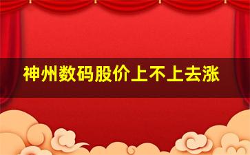 神州数码股价上不上去涨