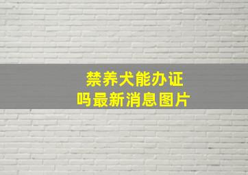 禁养犬能办证吗最新消息图片