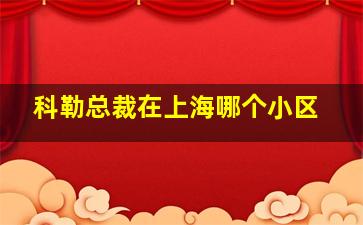 科勒总裁在上海哪个小区