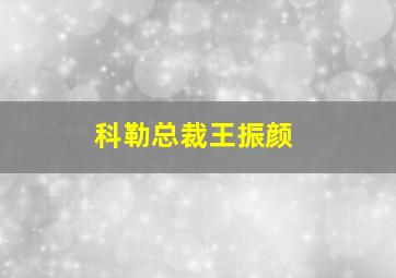 科勒总裁王振颜