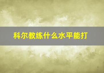 科尔教练什么水平能打