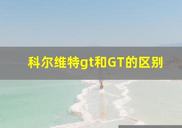 科尔维特gt和GT的区别