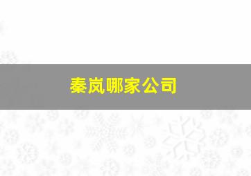 秦岚哪家公司