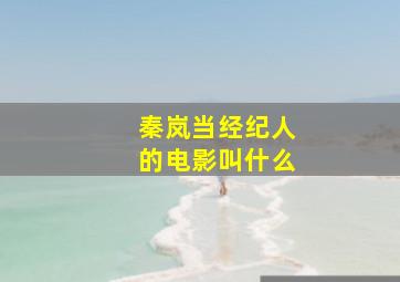 秦岚当经纪人的电影叫什么