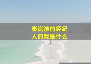 秦岚演的经纪人的戏是什么