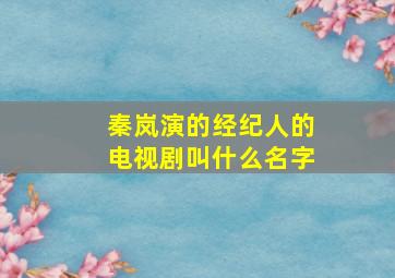 秦岚演的经纪人的电视剧叫什么名字