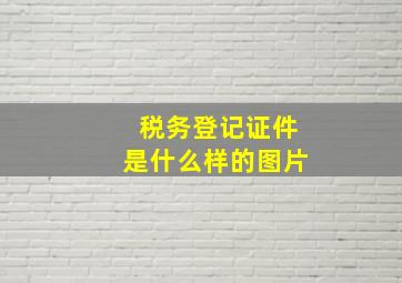 税务登记证件是什么样的图片