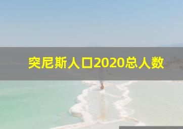 突尼斯人口2020总人数