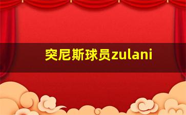 突尼斯球员zulani