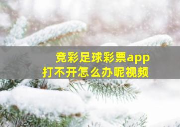 竞彩足球彩票app打不开怎么办呢视频