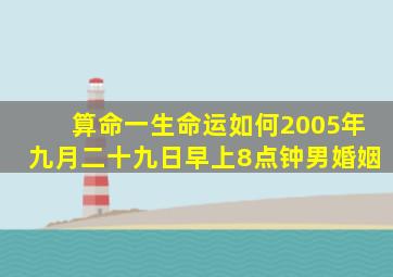 算命一生命运如何2005年九月二十九日早上8点钟男婚姻