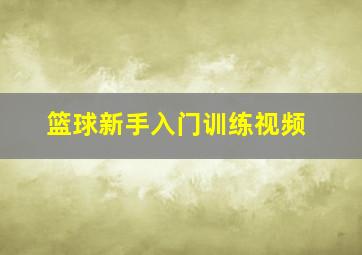 篮球新手入门训练视频