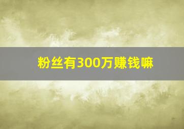 粉丝有300万赚钱嘛