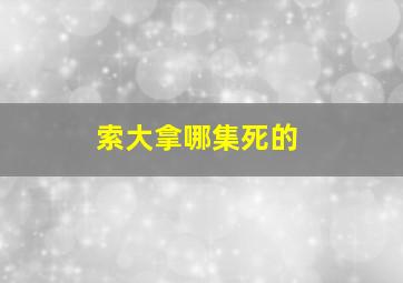 索大拿哪集死的