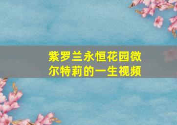 紫罗兰永恒花园微尔特莉的一生视频