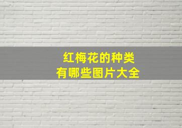 红梅花的种类有哪些图片大全