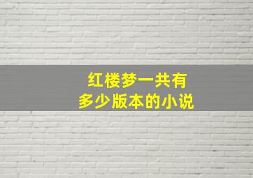 红楼梦一共有多少版本的小说