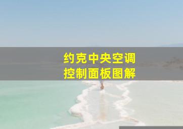 约克中央空调控制面板图解