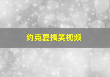 约克夏搞笑视频