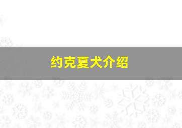 约克夏犬介绍