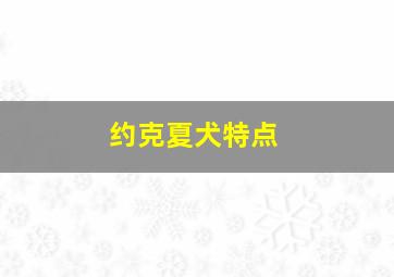 约克夏犬特点