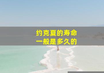 约克夏的寿命一般是多久的