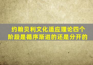 约翰贝利文化适应理论四个阶段是循序渐进的还是分开的