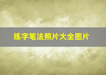 练字笔法照片大全图片