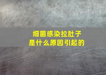 细菌感染拉肚子是什么原因引起的